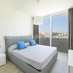Palms