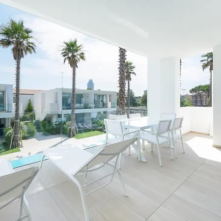 Palms * ليدو دي يسولو